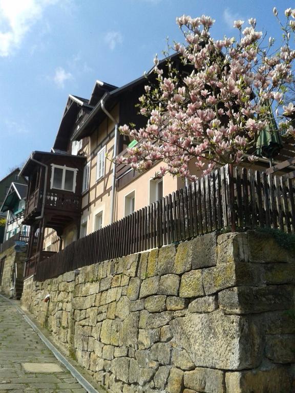 Wehlener Landhaus In Stadt Wehlen, Saechsische Schweiz Kültér fotó